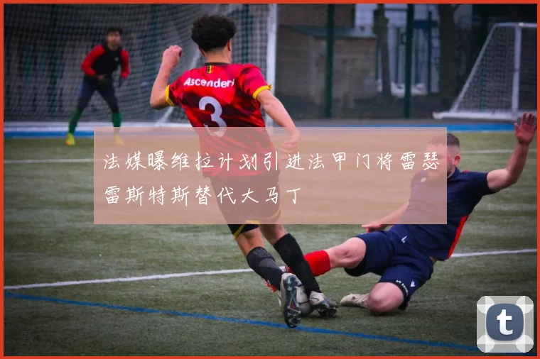 法媒曝维拉计划引进法甲门将雷瑟雷斯特斯替代大马丁