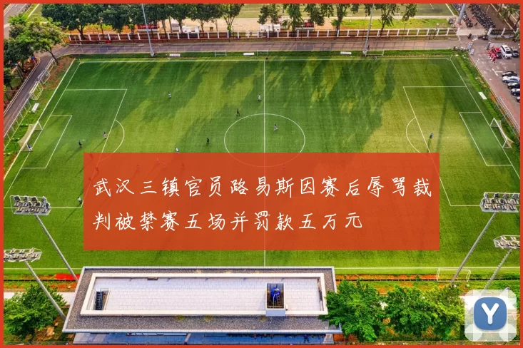 武汉三镇官员路易斯因赛后辱骂裁判被禁赛五场并罚款五万元
